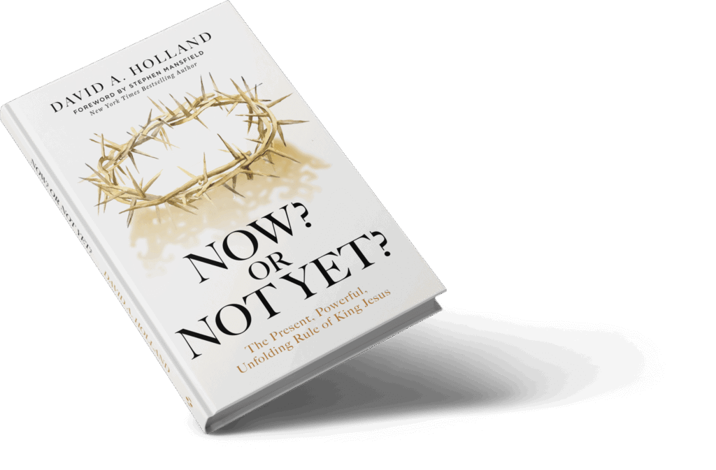 Now? Or Not Yet? book by David A. Holland